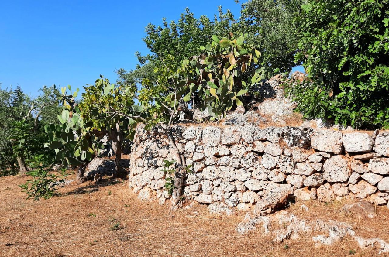 I Due Carrubi Villa Ostuni Eksteriør billede