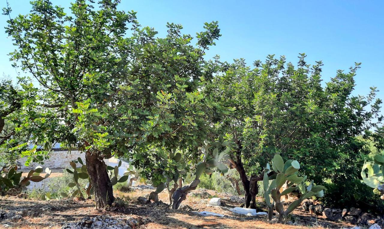 I Due Carrubi Villa Ostuni Eksteriør billede