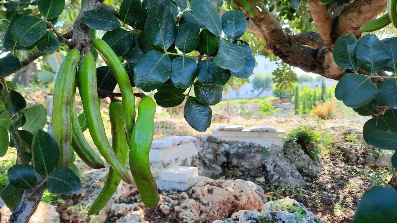 I Due Carrubi Villa Ostuni Eksteriør billede
